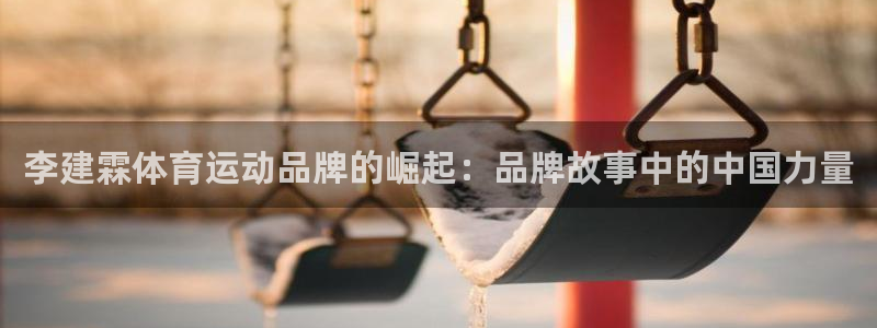李建霖体育运动品牌的崛起：品牌故事中的中国力量