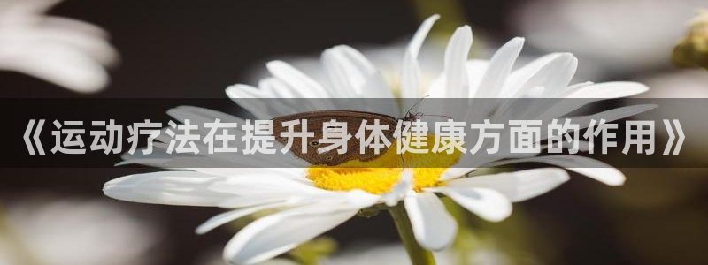 《运动疗法在提升身体健康方面的作用》