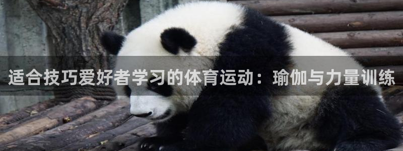 适合技巧爱好者学习的体育运动：瑜伽与力量训练