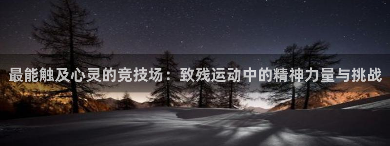 最能触及心灵的竞技场：致残运动中的精神力量与挑战