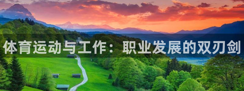体育运动与工作：职业发展的双刃剑