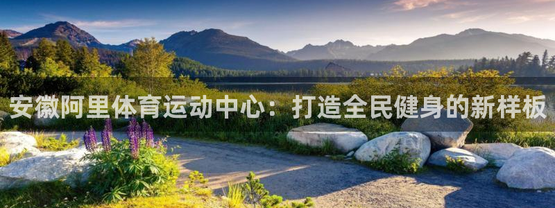 安徽阿里体育运动中心：打造全民健身的新样板